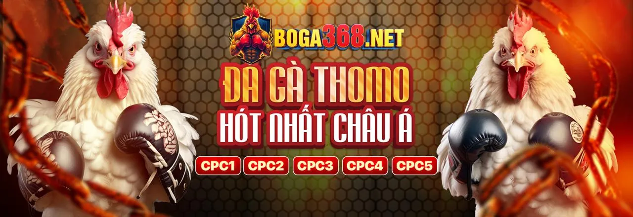 Cam Kết Chơi Công Bằng