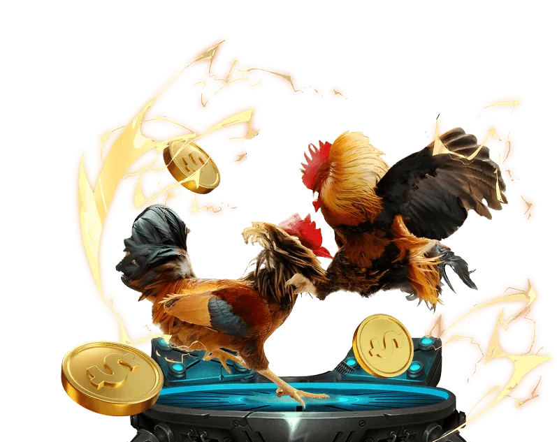 Hoàn tất đăng nhập và truy cập bảng điều khiển Kibet